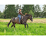 Pad d'entra�nement  Austin