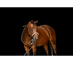 Ensemble bosal  Remy