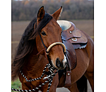 Ensemble bosal  Remy