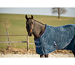 Chemise schante  Sitka