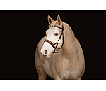 Sidepull  Rawhide