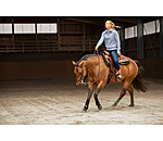 Pullover � col zipp�  Reign