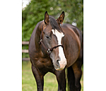 Licol � noeuds  Hybrid