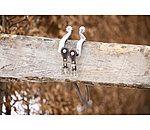 Lani�res d'�perons  Leaves