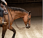 Bridon deux oreilles  Leaves