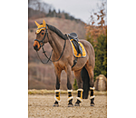 Tapis de selle   Essential