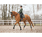 Tapis de selle  Sparkling II