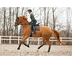 Tapis de selle  Sparkling II