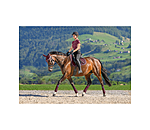 Tapis de selle en coton  Basic Deluxe