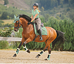 Tapis de selle  Sophistication sans passants de contre-sanglons