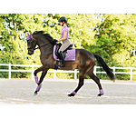 Tapis de selle  Sophistication sans passants de contre-sanglons