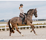 Tapis de selle  Glitter
