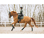 Tapis de selle  Glitter Stone