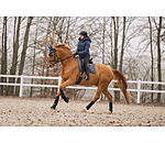 Tapis de selle  Velvet