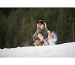 Manteau pour chien avec doublure polaire  Eddie 200 g