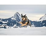 Manteau pour chien avec doublure polaire  Eddie 200 g