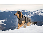 Manteau pour chien avec doublure polaire  Eddie 200 g