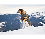 Manteau pour chien avec doublure polaire  Eddie 200 g