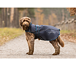 Manteau pour chien 2-en-1  Ally