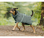 Chemise schante pour chien  Dry Dog II