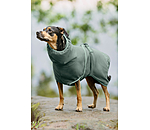 Chemise schante pour chien  Dry Dog II