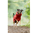 Chemise schante pour chien  Dry Dog II