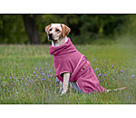 Chemise s�chante pour chien  Dry Dog II
