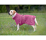 Chemise s�chante pour chien  Dry Dog II
