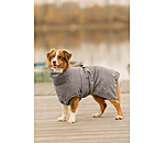 Chemise s�chante pour chien  Dry Dog II