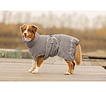 Chemise s�chante pour chien  Dry Dog II