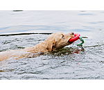 Jouet pour chien  Mia