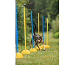 Barres d'agility