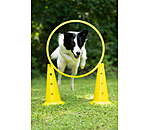 C�nes d'agility