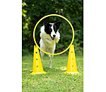 Cerceaux d'agility