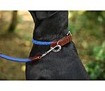 Collier pour chien  Coloured Rope