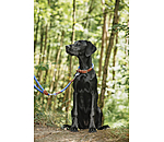 Laisse pour chien  Coloured Rope