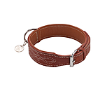 Collier en cuir pour chien  Livorno