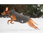 Manteau avec doublure en polaire Teddy pour chien  Archie, 160 g