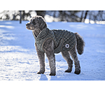 Manteau avec doublure en polaire Teddy pour chien  Archie, 160 g