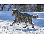 Manteau avec doublure en polaire Teddy pour chien  Archie, 160 g