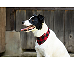 Foulard pour chien  Henry