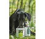 Poudre pour les articulations pour chien  Vitality