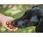 Mlange de friandises colores pour chien