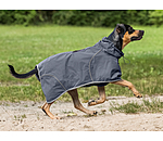 Manteau de pluie pour chien  Sequoia