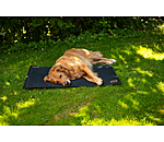 Coussin thermique pour chien  Ceramic Rehab
