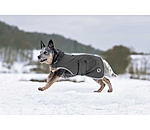 Manteau de randonne en softshell pour chien  Athlete, 0 g