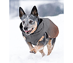 Manteau d'hiver pour chien  Sparks, 80 g