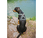 Harnais pour chien  Piper