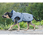 Manteau rflchissant pour chien  Safety First, 0 g