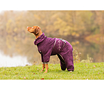 Peignoir pour chien  Allover Dry